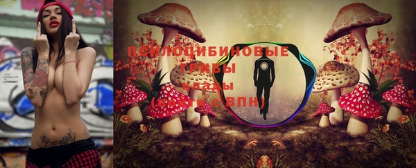 кокс Армянск