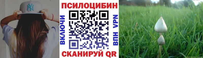 Галлюциногенные грибы Cubensis  как найти   Североморск 